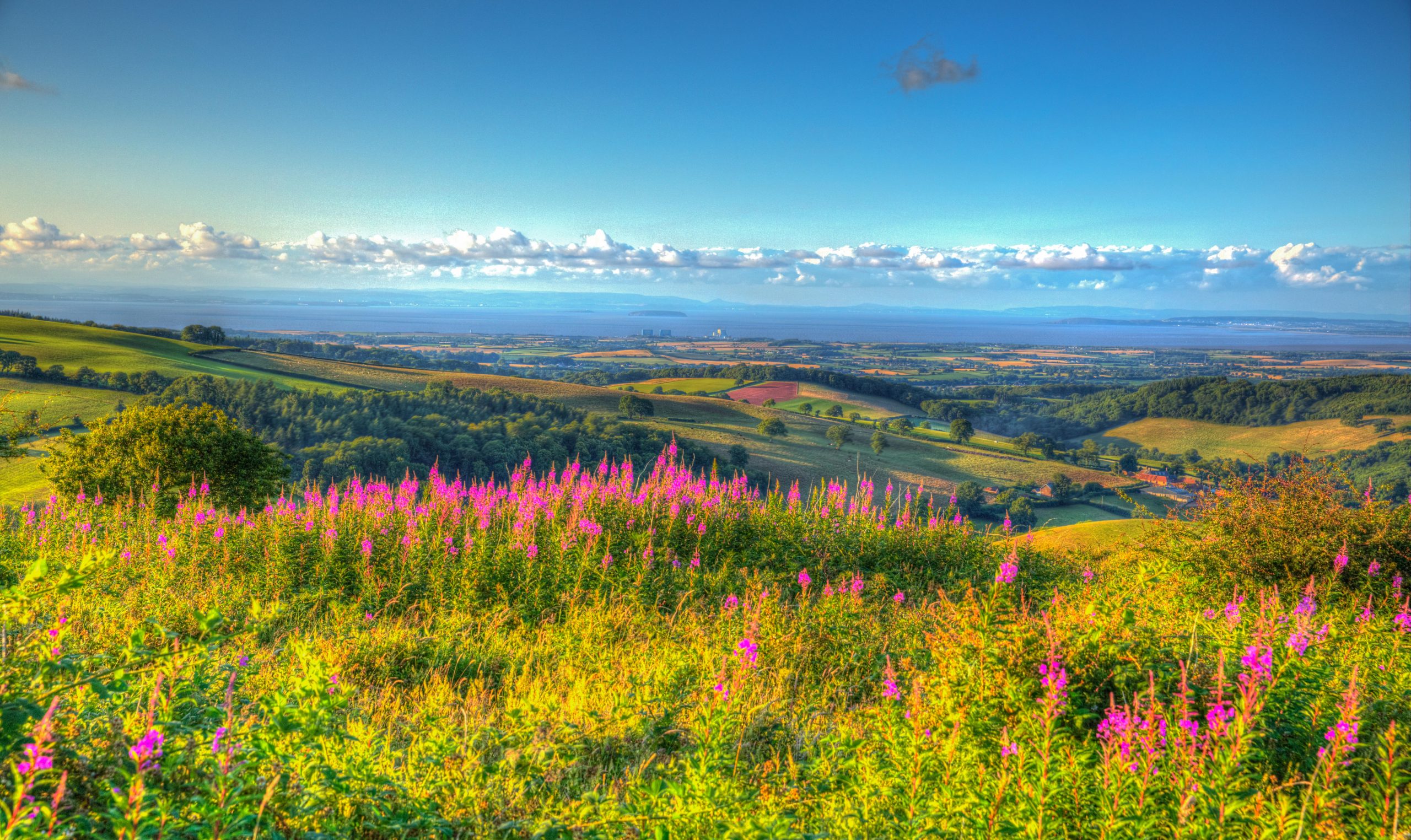 New Land Purchased in North Petherton, Somerset