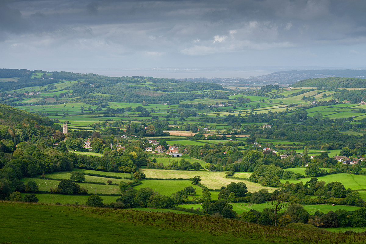 Future Developments Summerfield